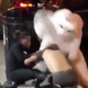 Illustration for article titled Bar-Hopping Easter Bunny Takes No Prisoners In Brutal Orlando Street Fight
